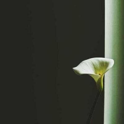 Kit 3 Shampoo Masculino Whiskey Black Collection 220ml Qod