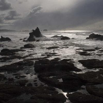 Kit 2 Shampoo Masculino Cleaning Control Anticaspa 220ml Qod