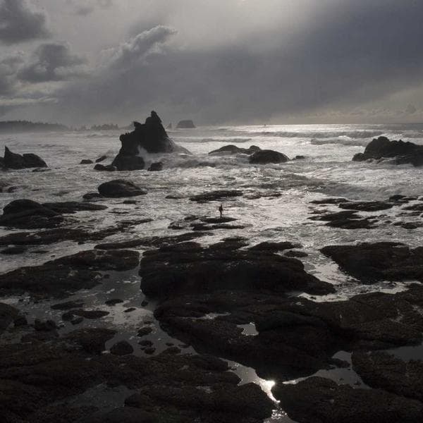 Kit 2 Shampoo Masculino Cleaning Control Anticaspa 220ml Qod – foto 1